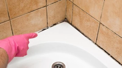 Métodos para deshacerse de la acumulación de moho en duchas