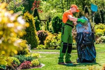 Métodos para limpiar y restaurar herramientas de jardín