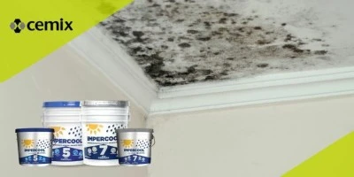 Cómo eliminar olores de moho en la casa