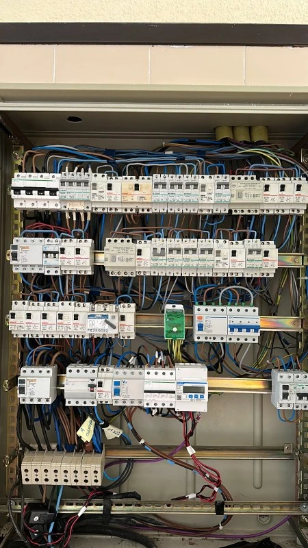Electrollauri