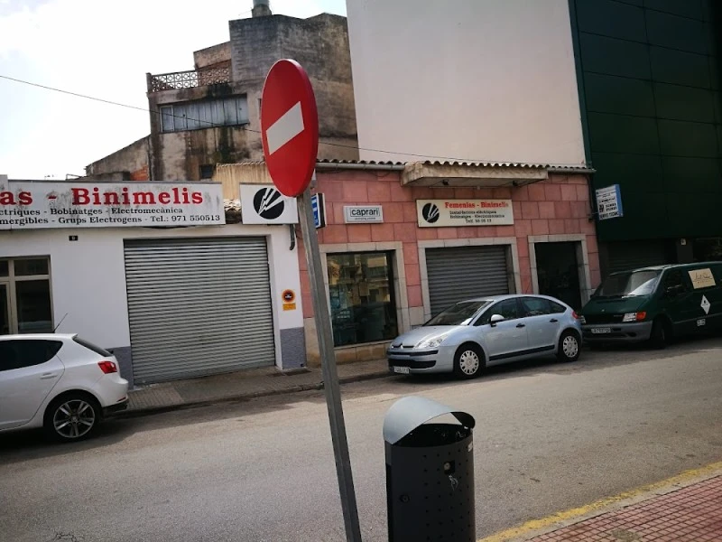 Instal·lacions Femenias Binimelis