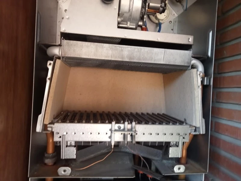 larrelan servicio técnico calderas