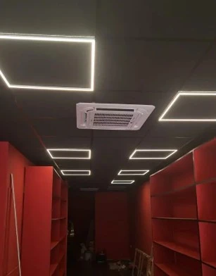 Electrizer