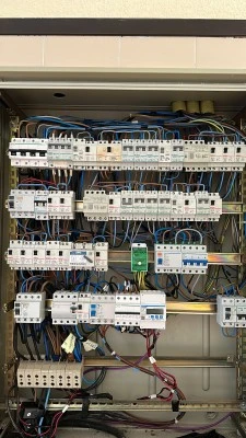 Electrollauri