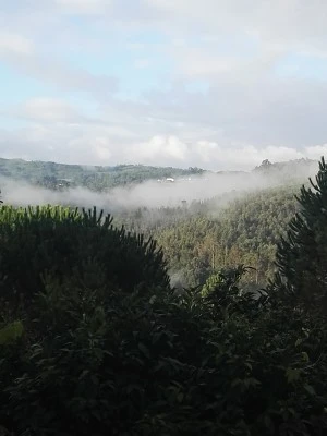 Foncalgas