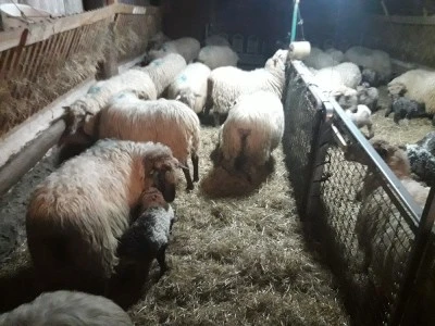 Fontanería Mateo