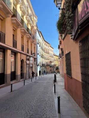 Fontanero La Latina