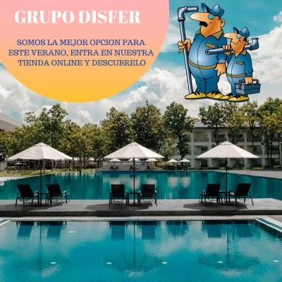Grupo Disfer