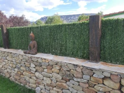 Obras Y Servicios Diego López